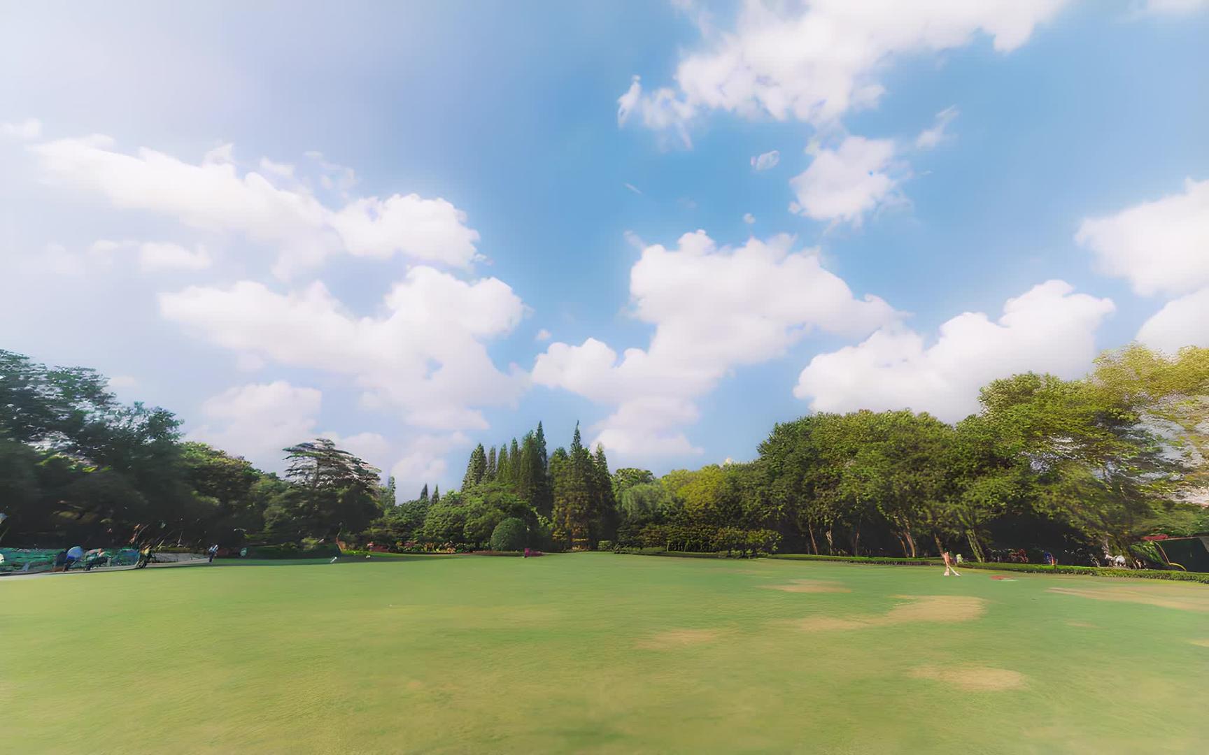蓝天白云树木草地枝繁叶茂视频的预览图