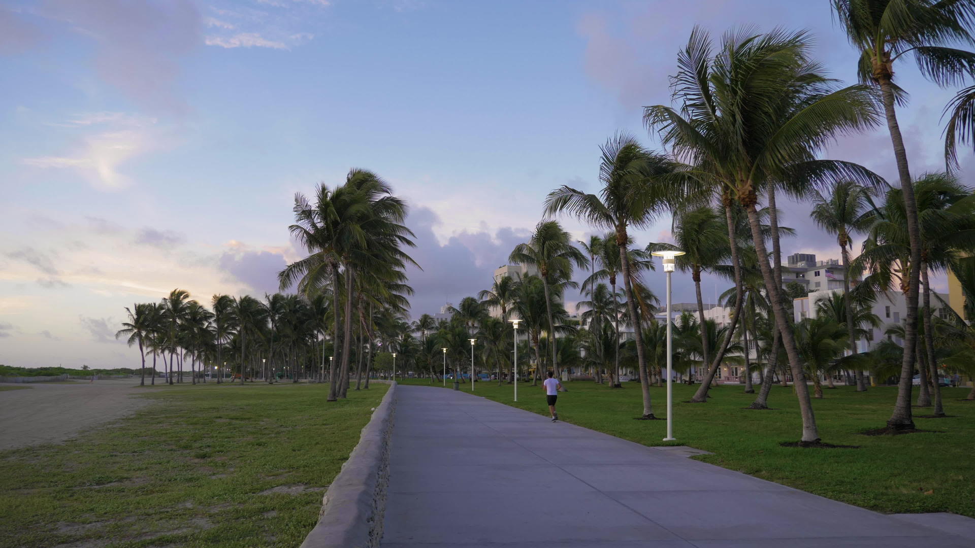 早上男人在Lummus公园慢跑绿棕榈树清空迈阿密天空视频的预览图