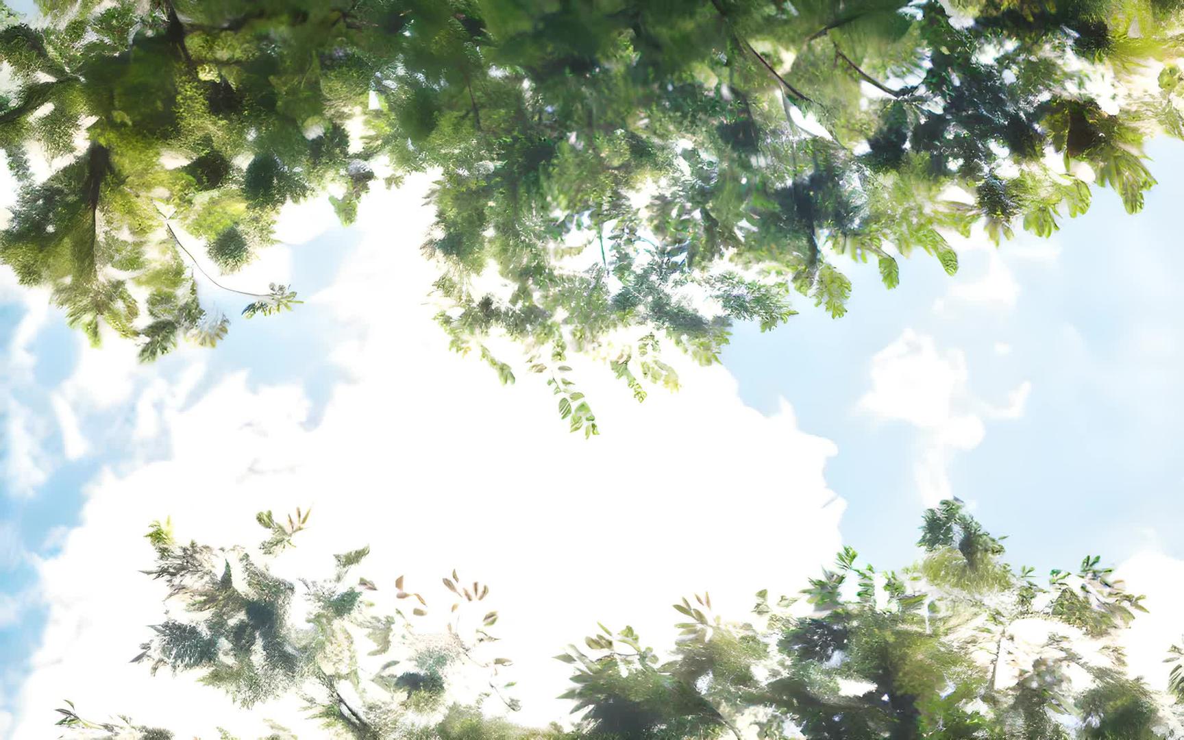 树叶蓝天白云自然风光自然风光视频的预览图