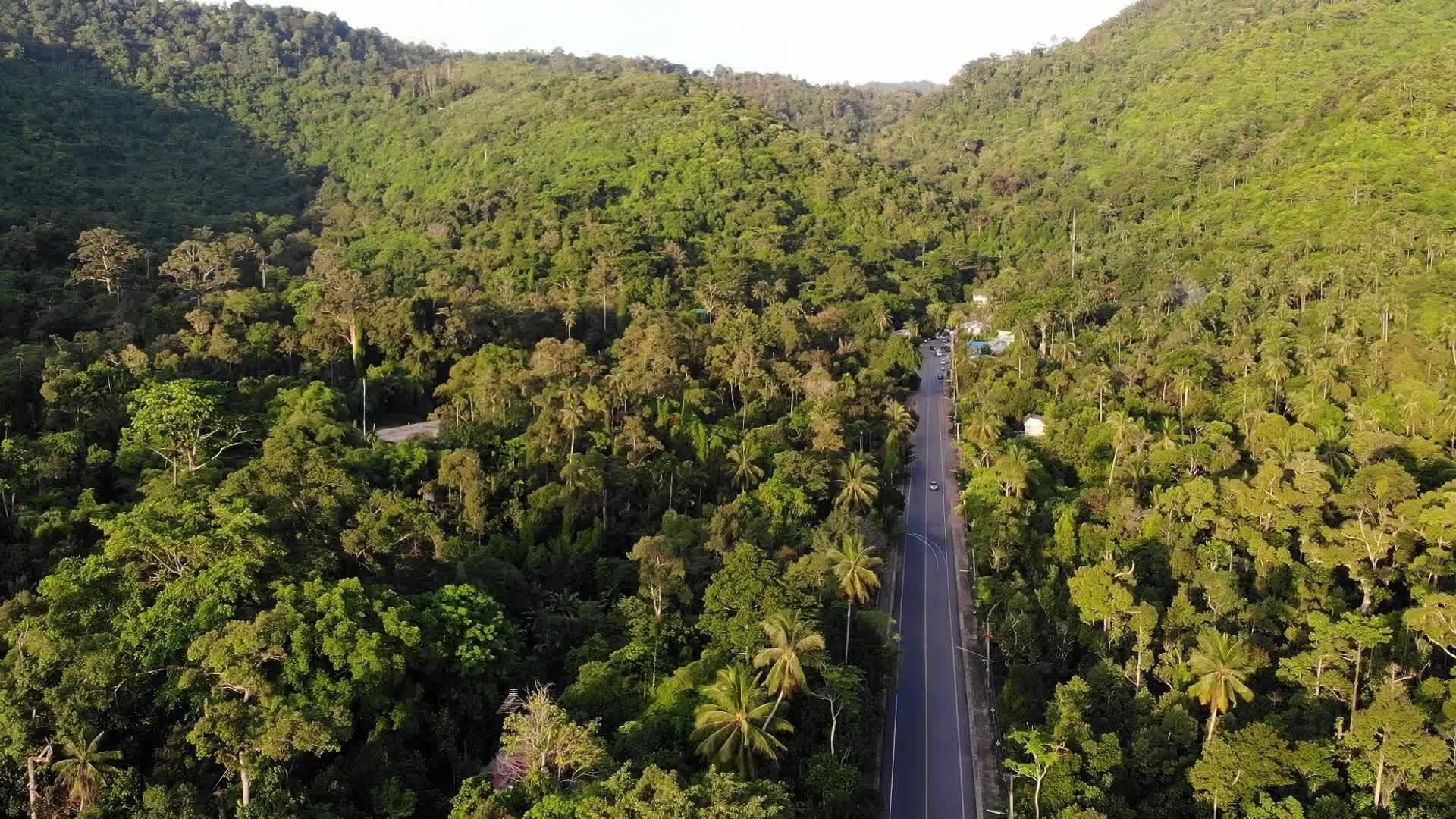 沥青路穿过定居点和丛林穿过苏梅岛小型典型定居点和视频的预览图