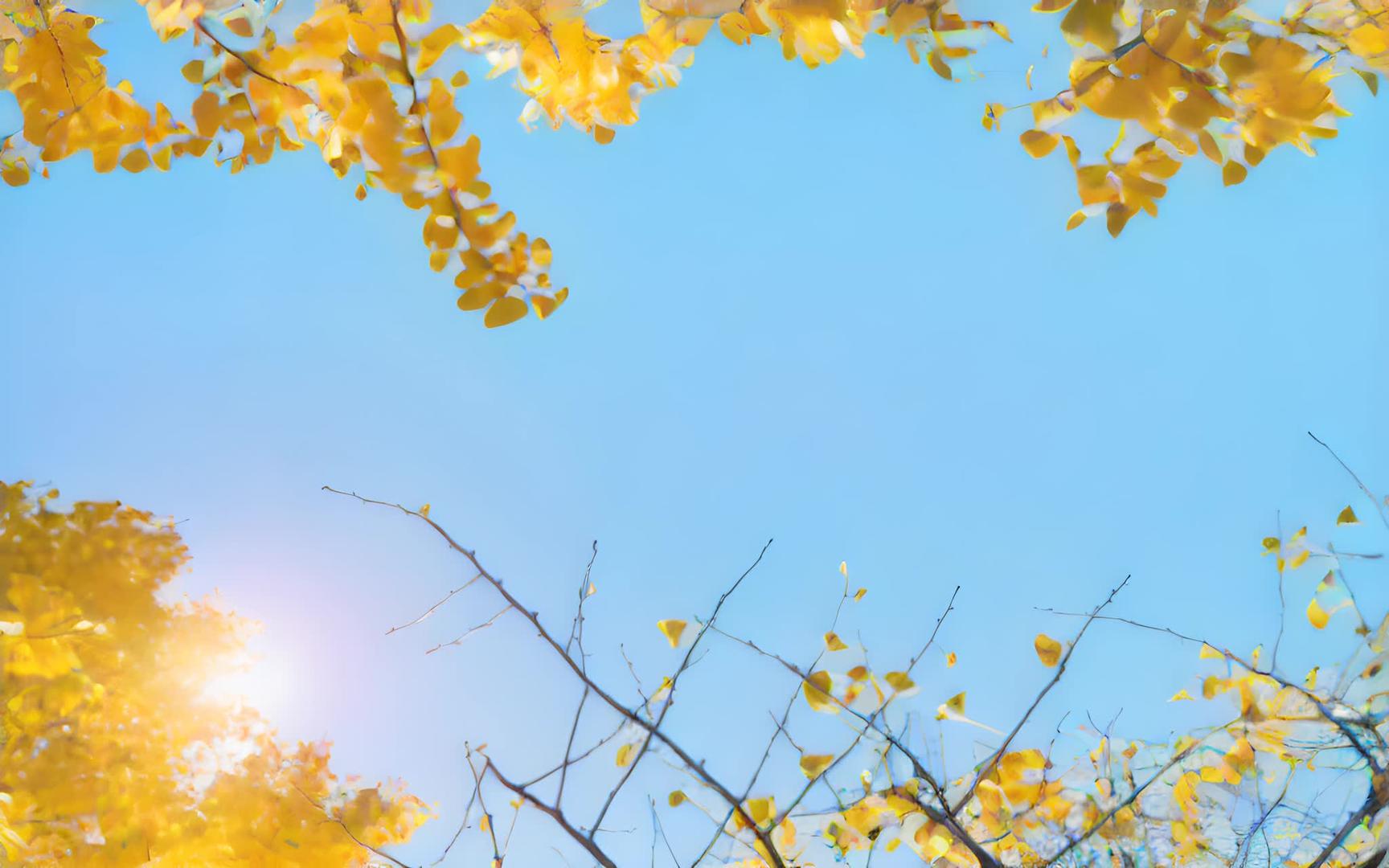 金色胡杨林在秋天视频的预览图