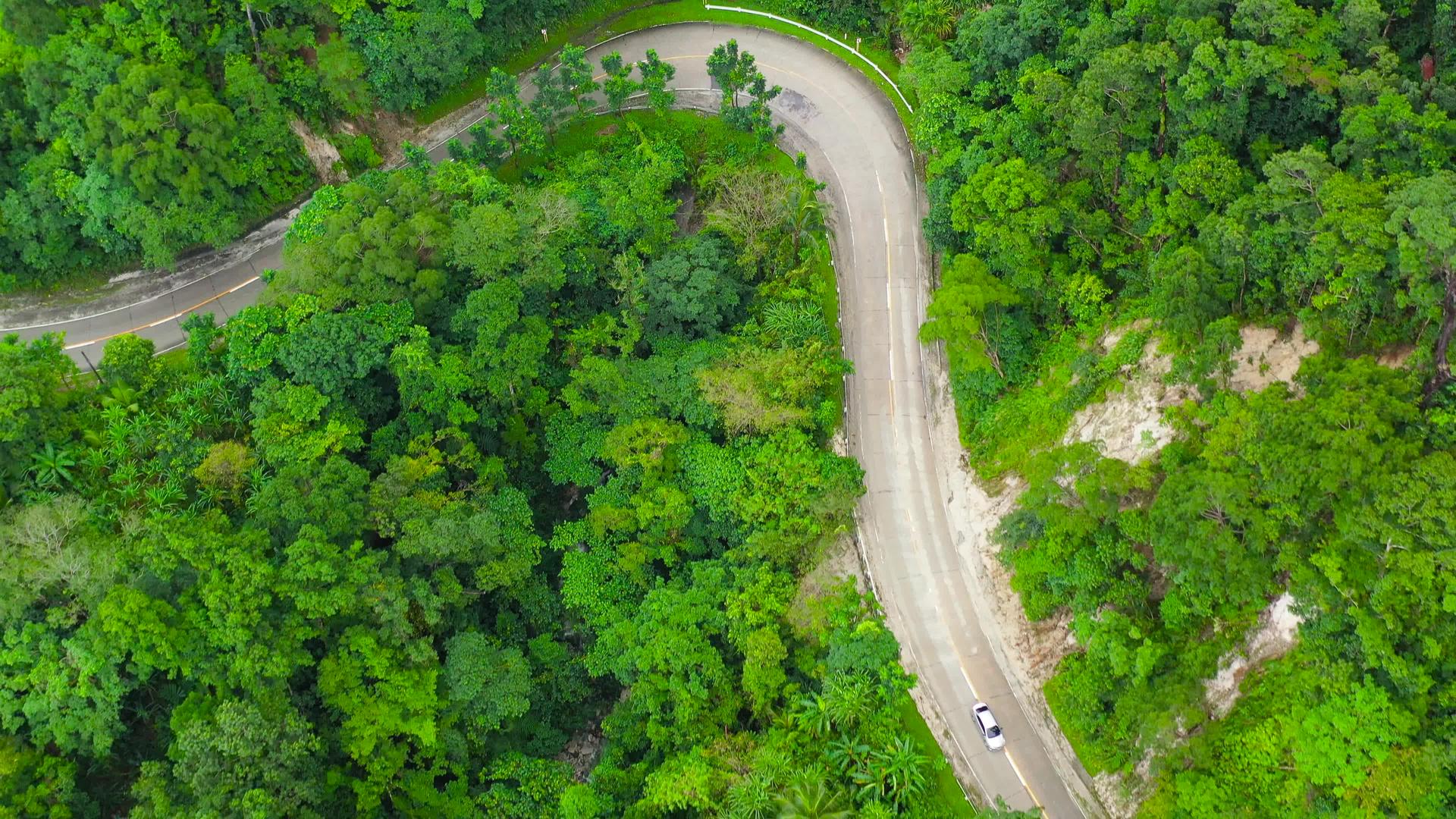 山路穿过森林在空中观看视频的预览图