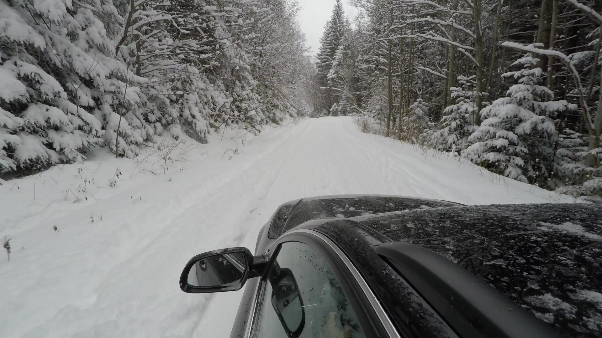 冬季道路通过森林穿过森林视频的预览图