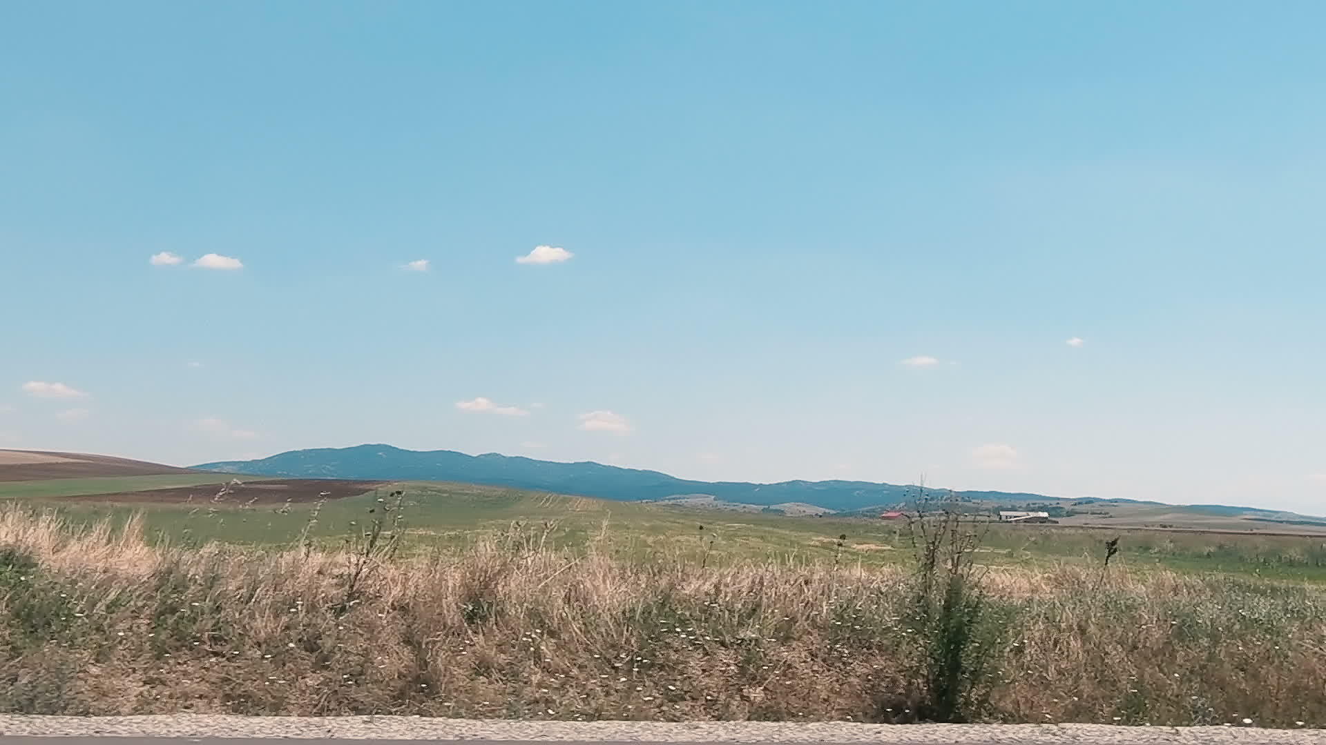 在明亮的夏天在田野和草原旁慢慢地行驶视频的预览图