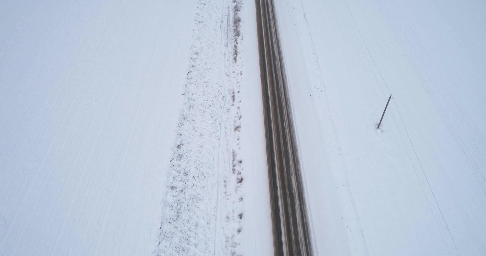 冬天的野路视频的预览图