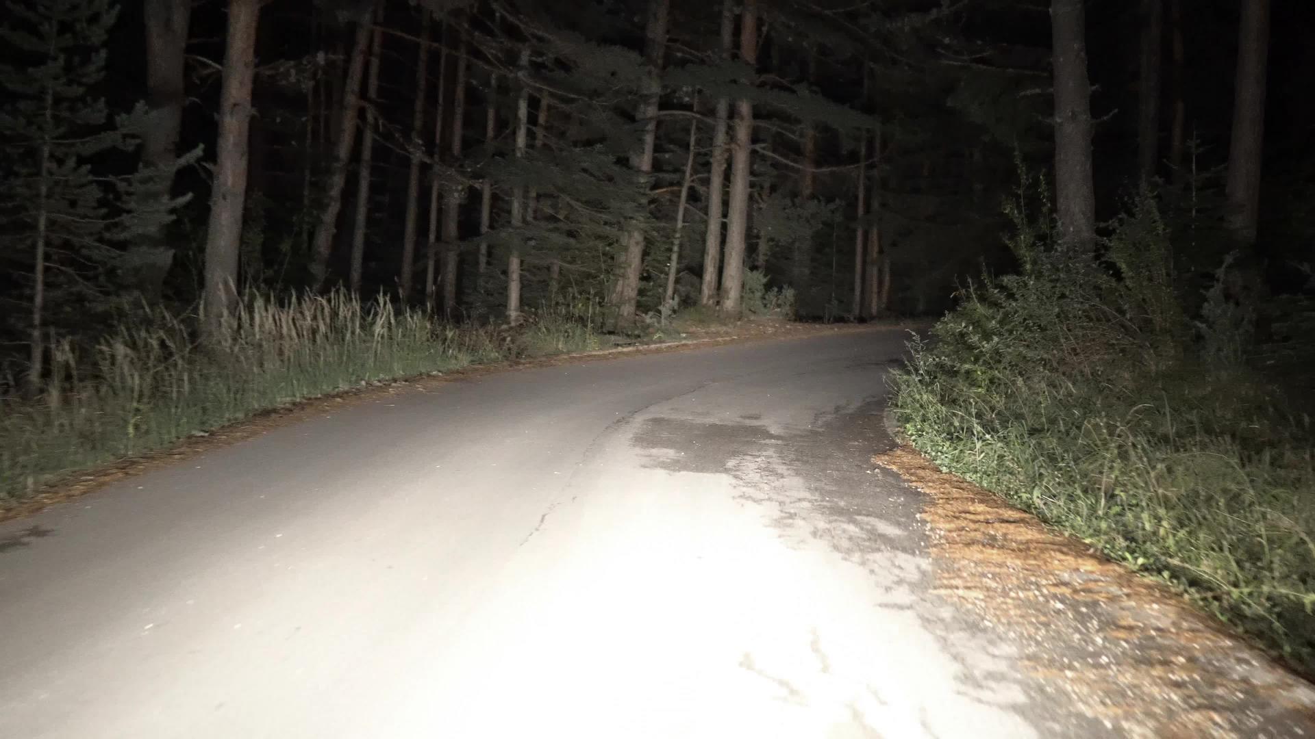 通过森林景区驾驶的车辆视频的预览图