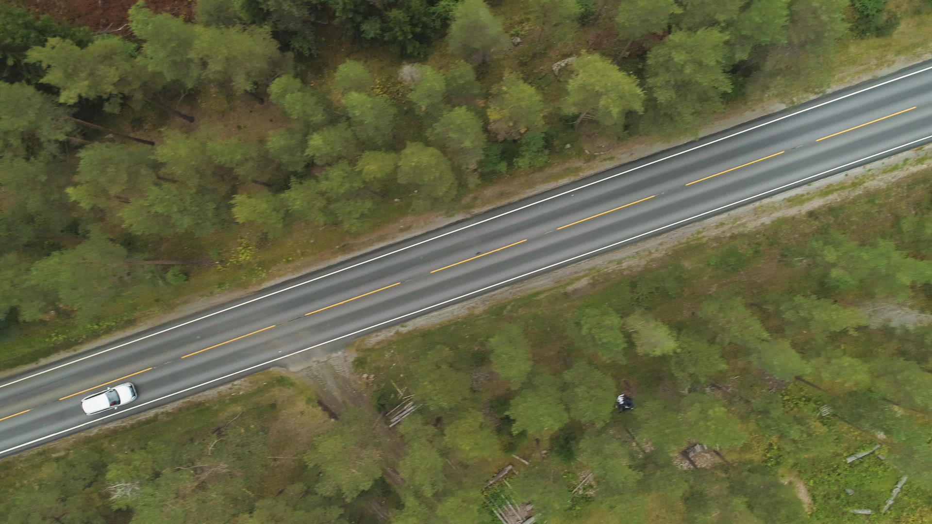 在夏天的北南绿林中白色轿车行从上到下垂直于空中视频的预览图