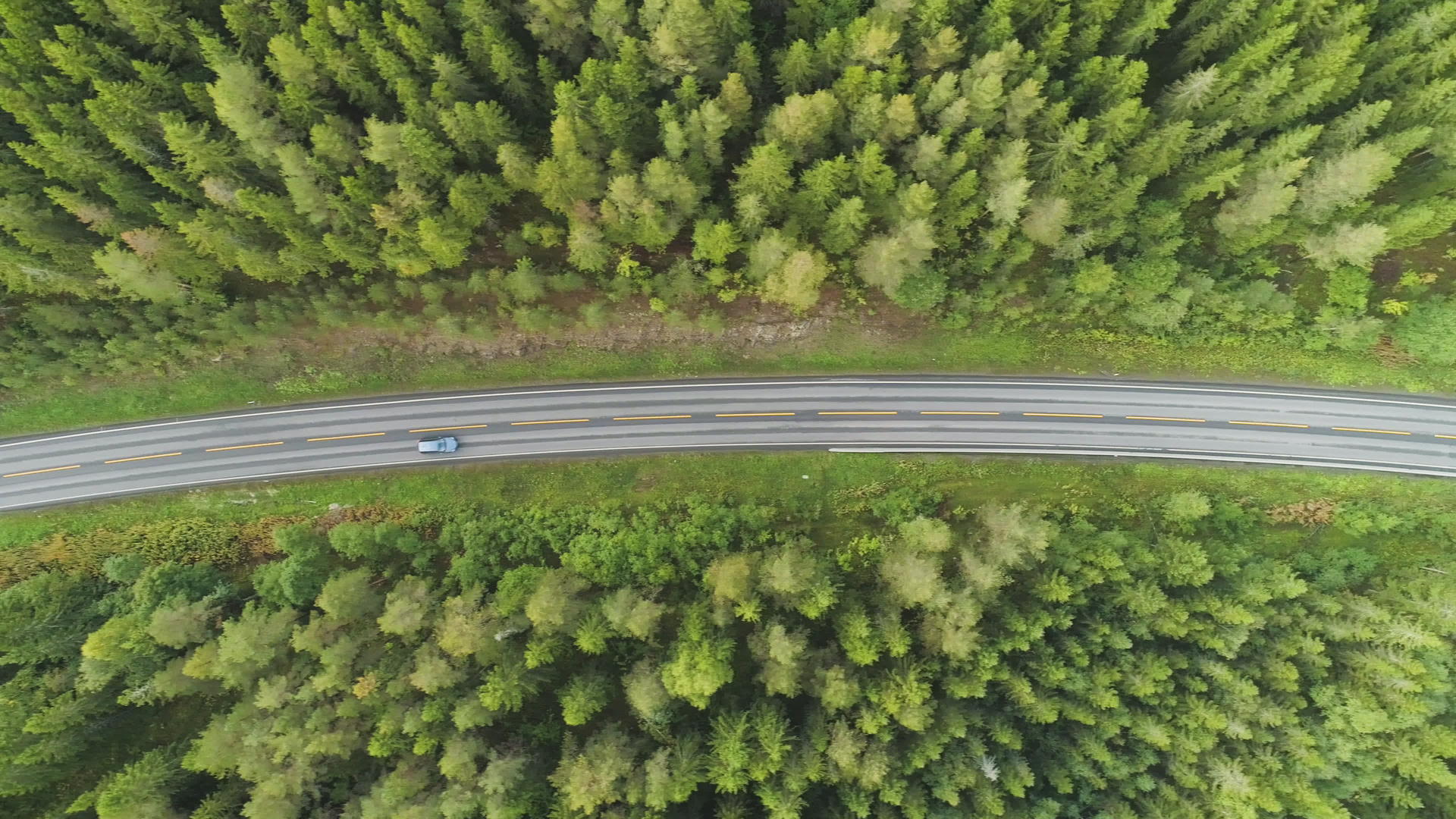夏天汽车在挪威绿色针叶林的乡村道路上垂直俯视视频的预览图
