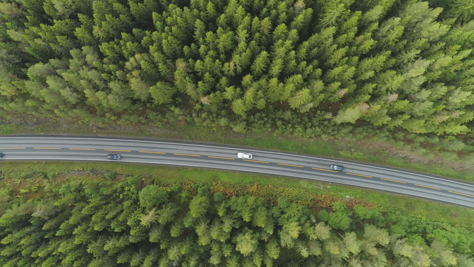 夏天汽车在挪威绿色针叶林的乡村道路上垂直俯视视频的预览图