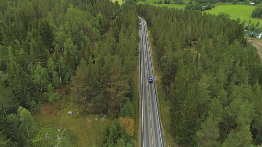 蓝色汽车在夏天的北南绿林中直径行驶观察无人驾驶飞机视频的预览图