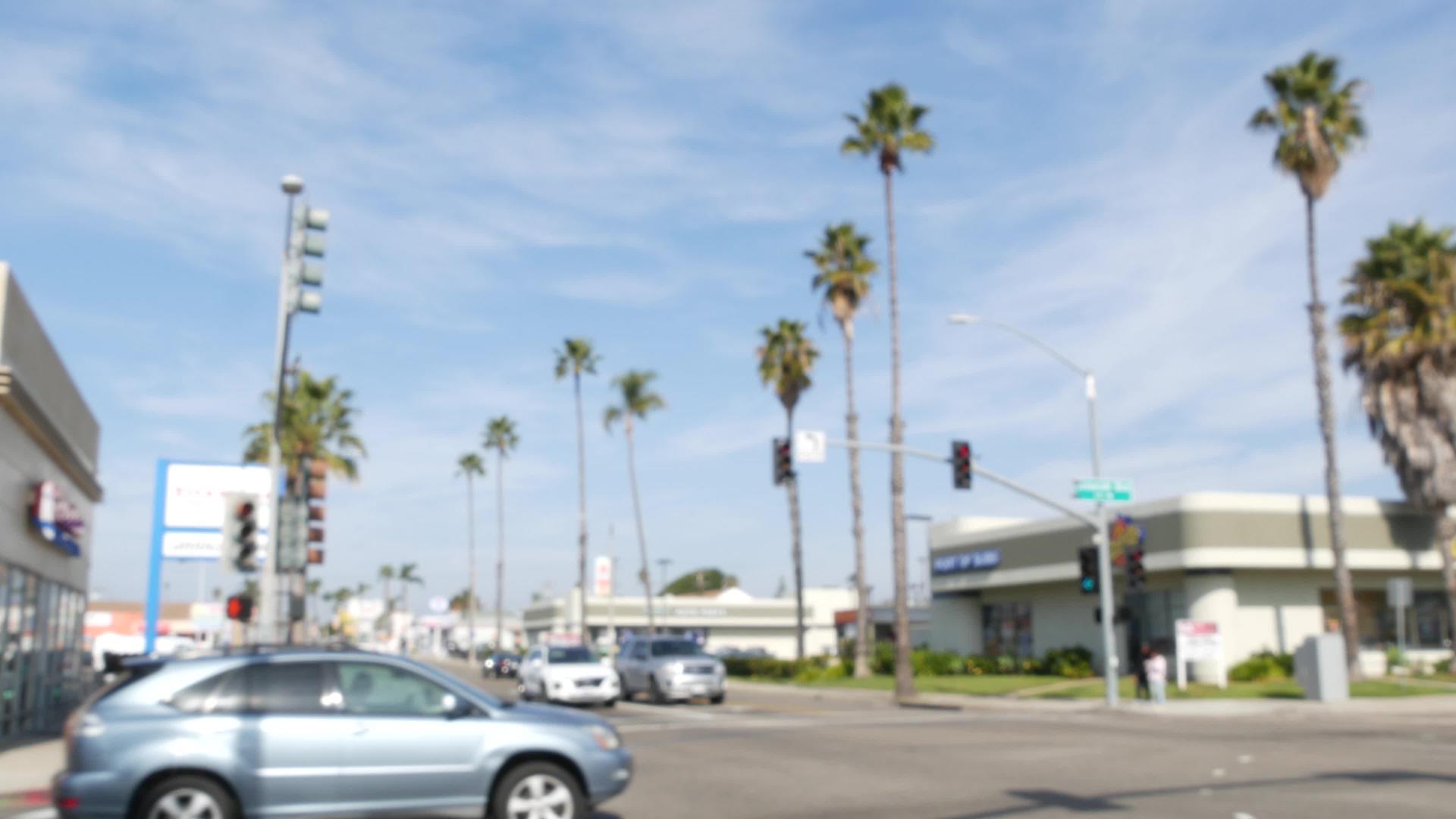 加利福尼亚公路上的棕榈树太平洋海岸usa视频的预览图