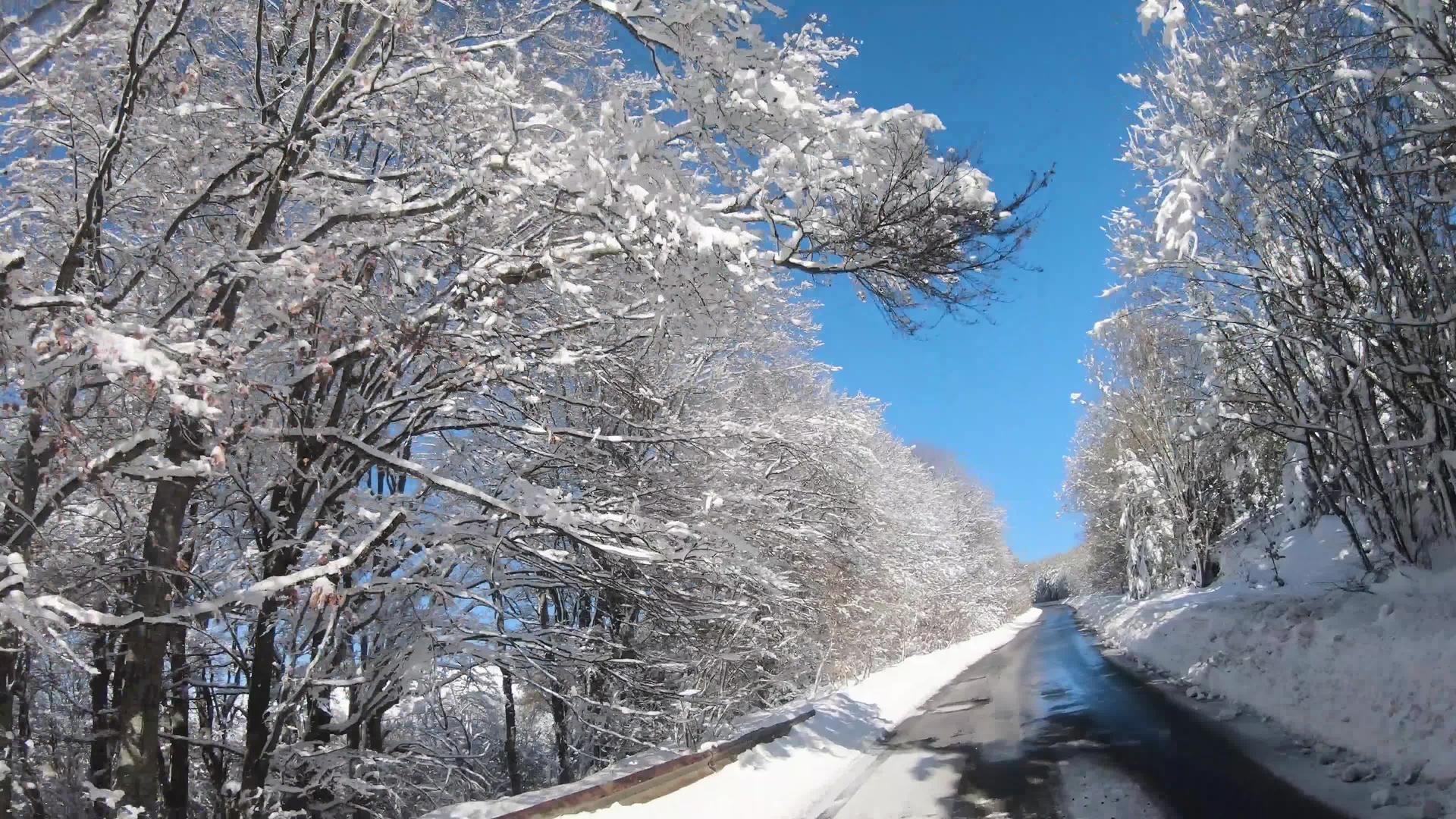 美丽的冬季自然第一视角车辆驱动器阿尔卑斯山雪森林常青树视频的预览图
