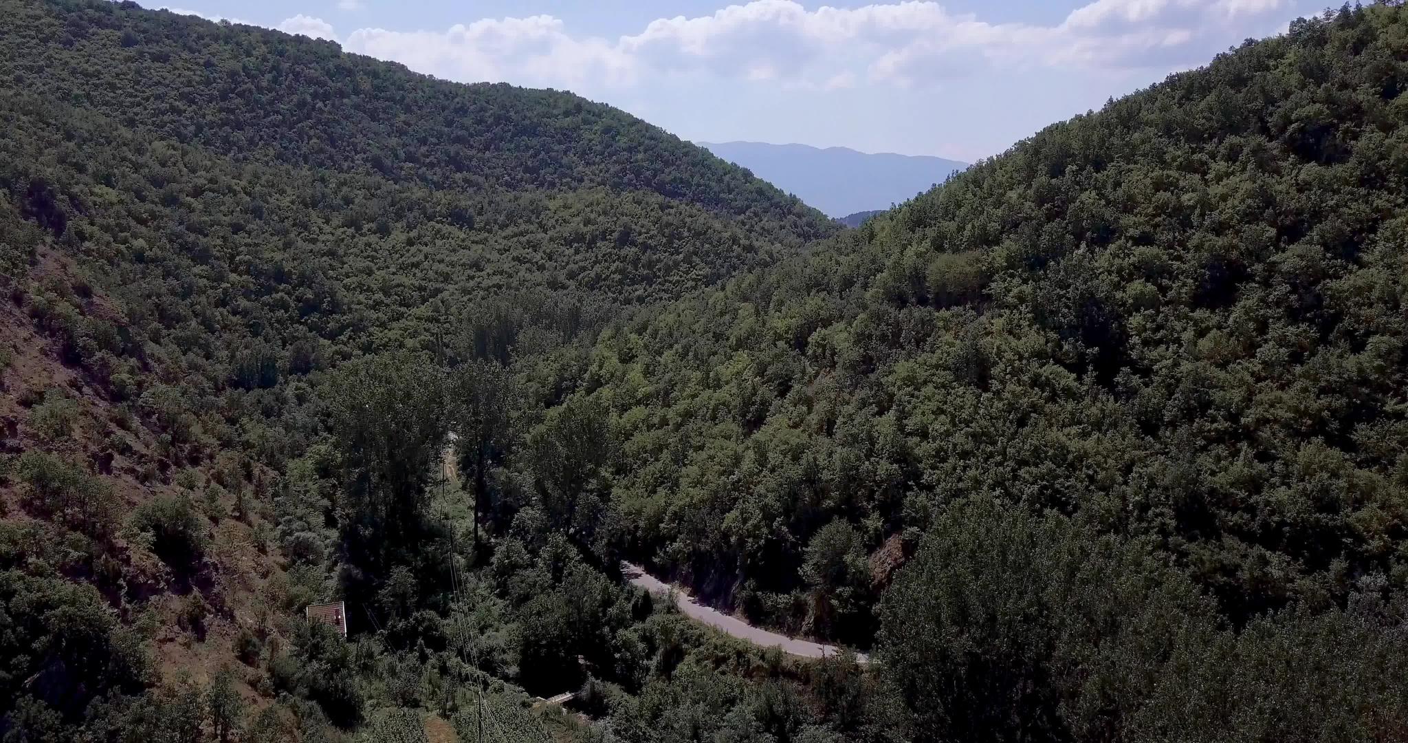 森林中一条紧固道路的空中航向视频的预览图
