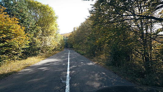 秋黄树间山村公路上的车辆视频的预览图