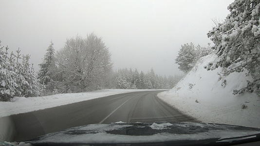 从汽车的第一个角度来看松林和低能见度雾在危险的冬季山路上行驶视频的预览图