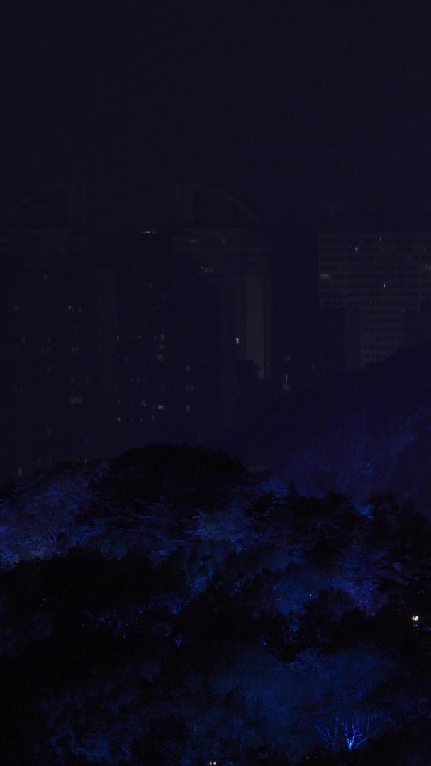 城市地标古建筑5A级旅游景区黄鹤楼夜景景区视频的预览图