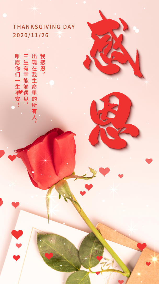 感恩节玫瑰花摄影图视频海报视频的预览图