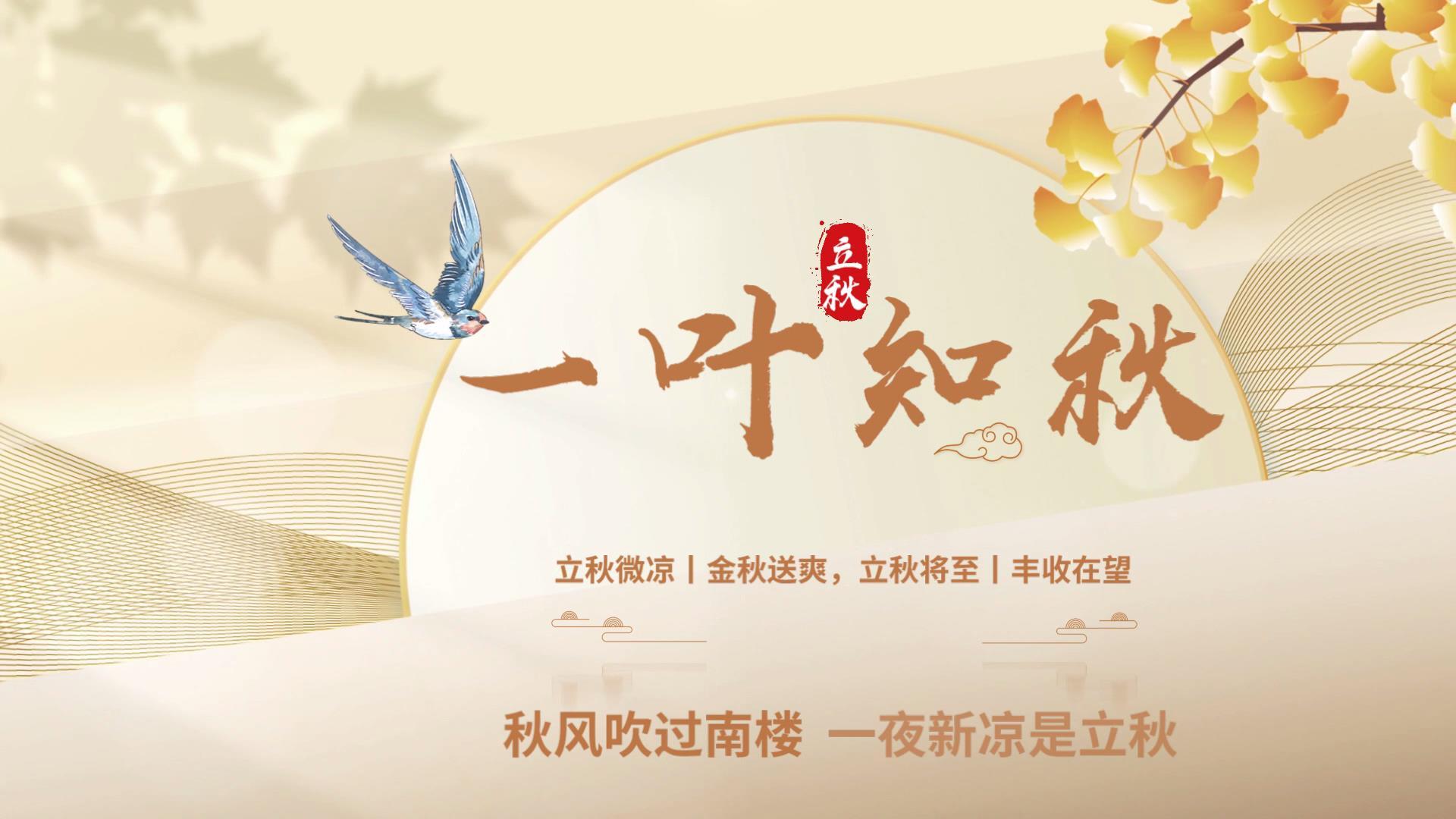 简洁大气立秋光影字幕片头会声影模板视频的预览图