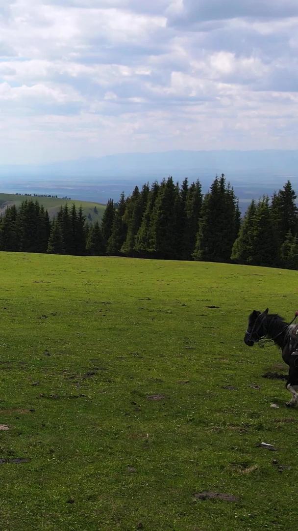 新疆蓝天白云大草原上骑马驰骋的少女背影自然风光素材视频的预览图