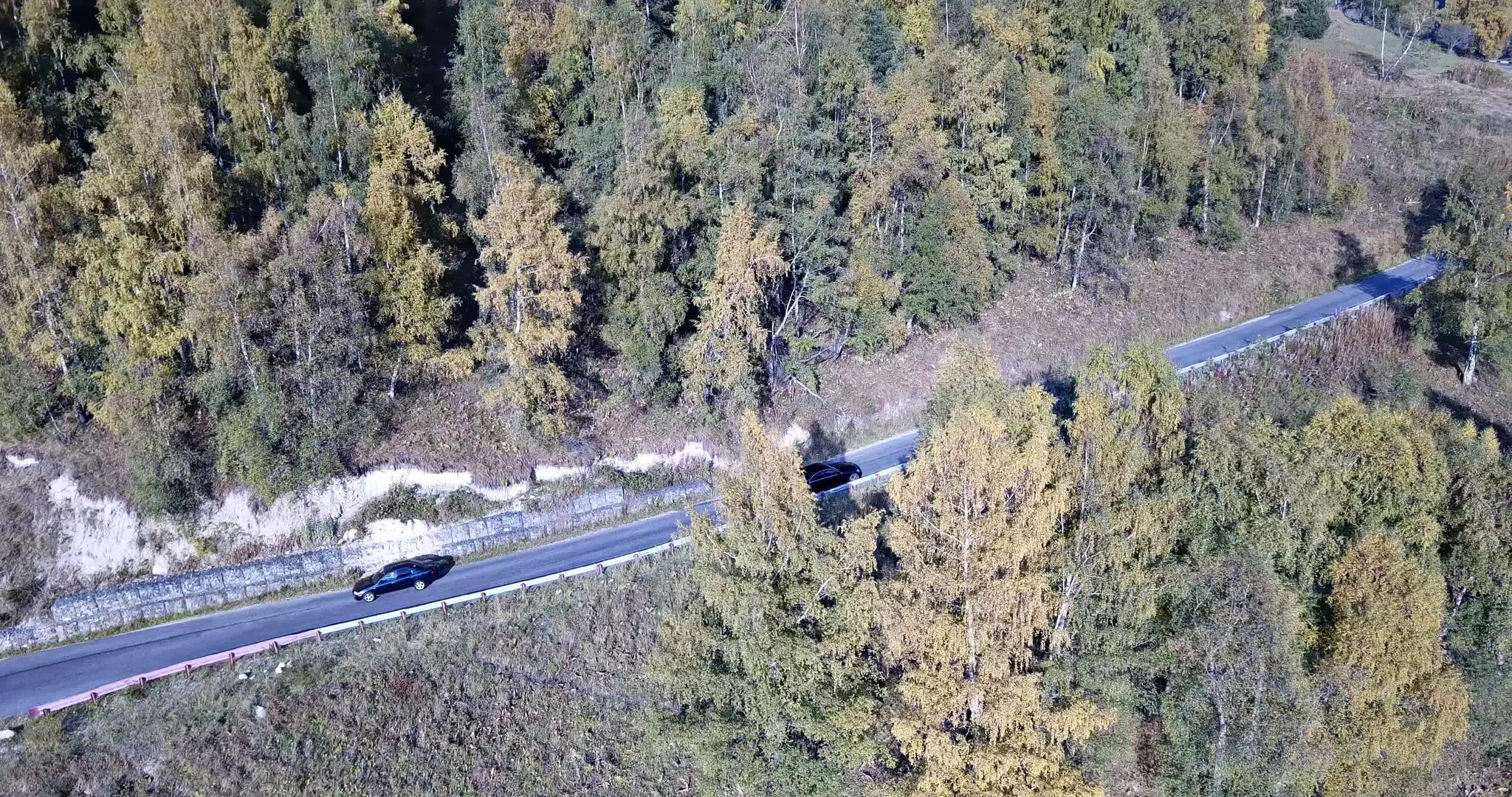 汽车在森林的一条路上空行视频的预览图