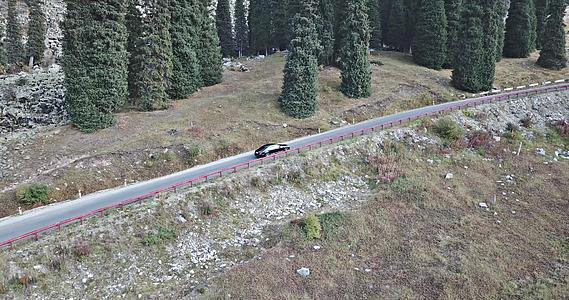 汽车在森林的一条路上空行视频的预览图