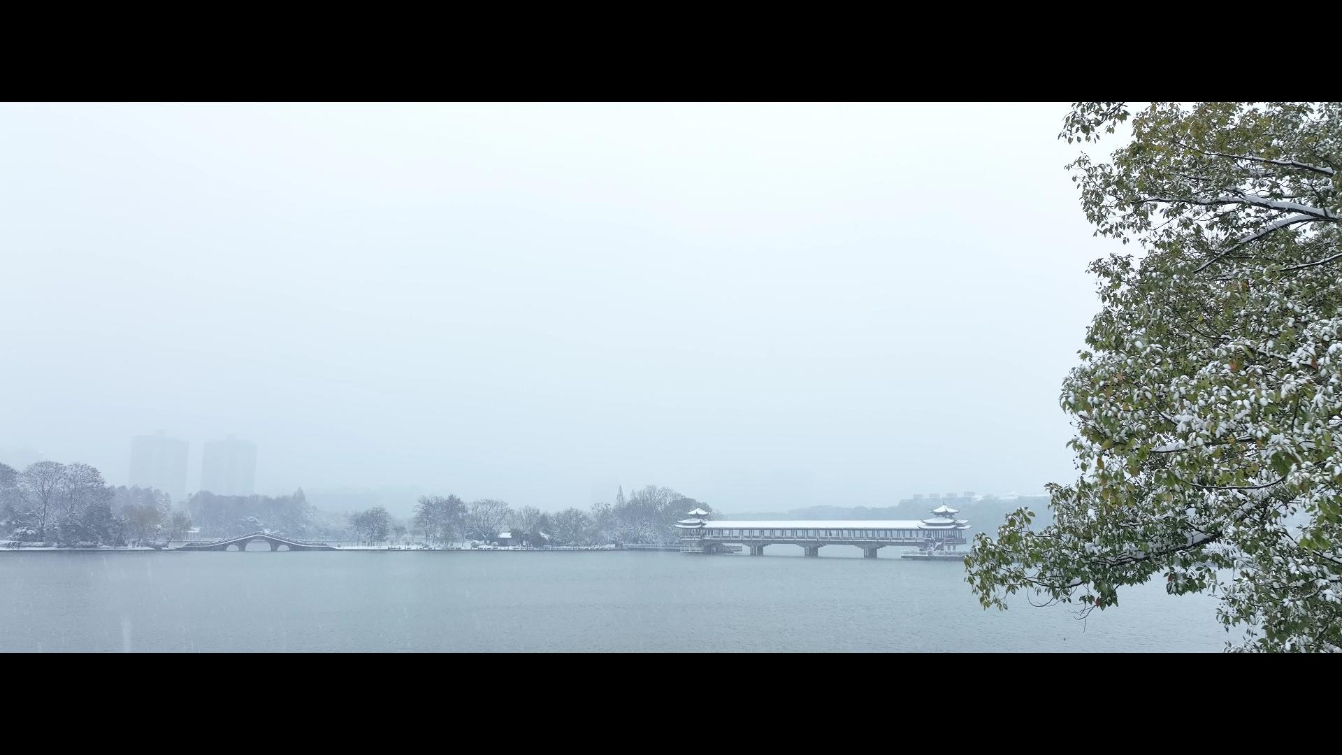 雪景长沙烈士公园年嘉湖古桥视频的预览图