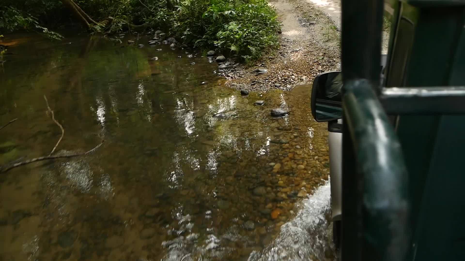 车经过浅水河在奈帕尔Chitwan国家狩猎公园森林视频的预览图