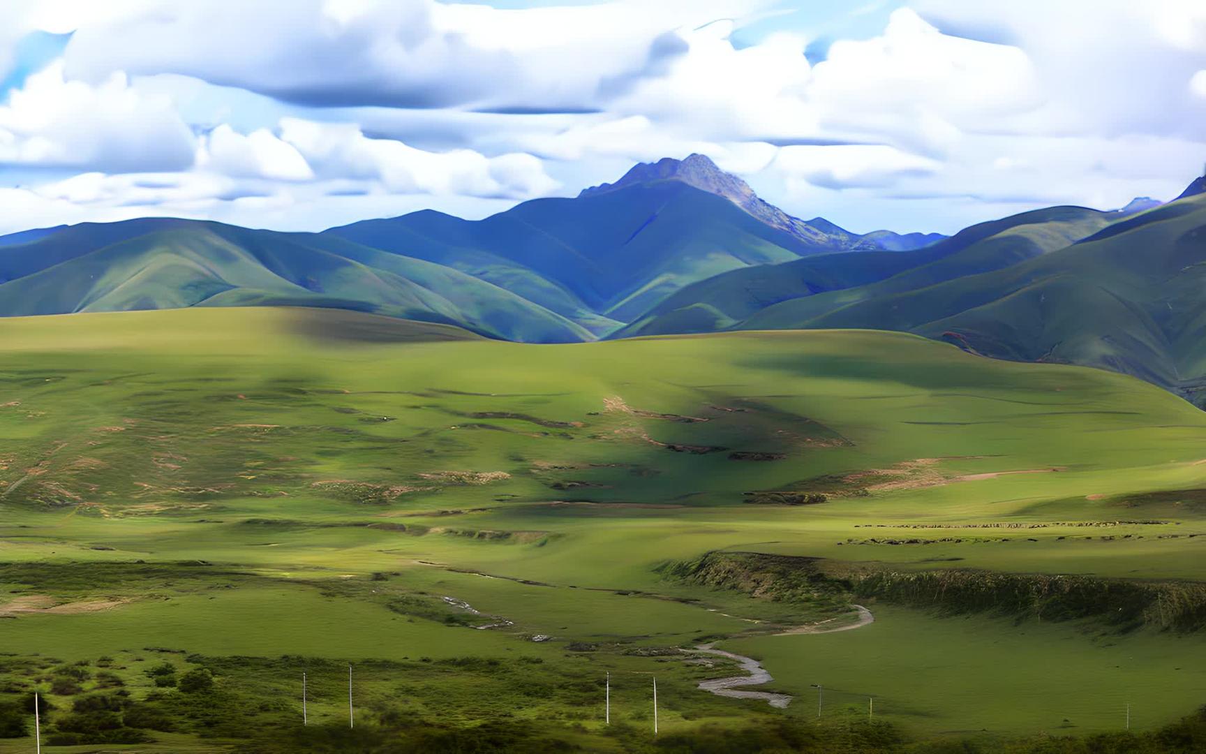 西藏草地绵延辽阔视频的预览图