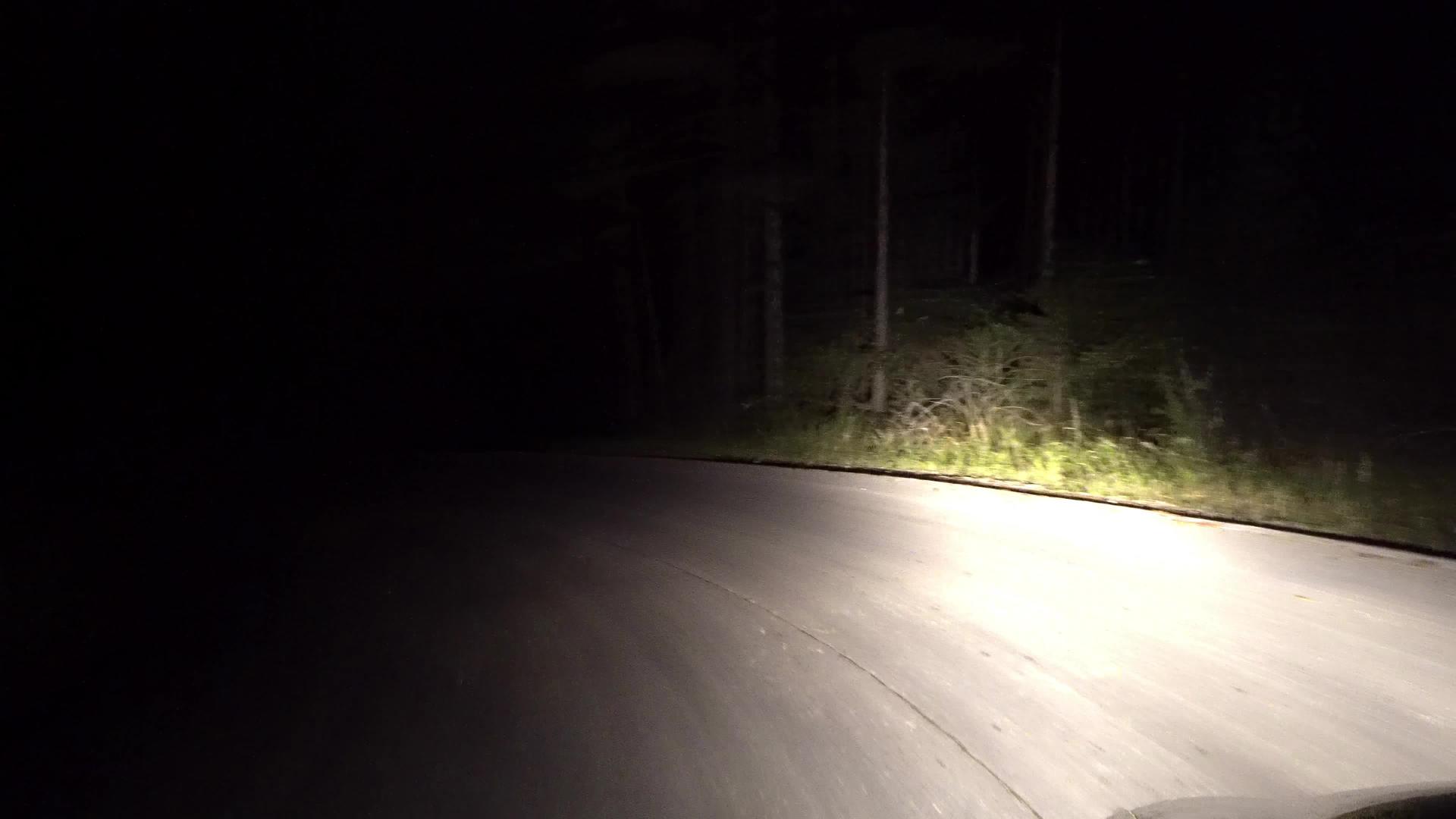 4K晚上在黑暗的路上开车晚上开车视频的预览图
