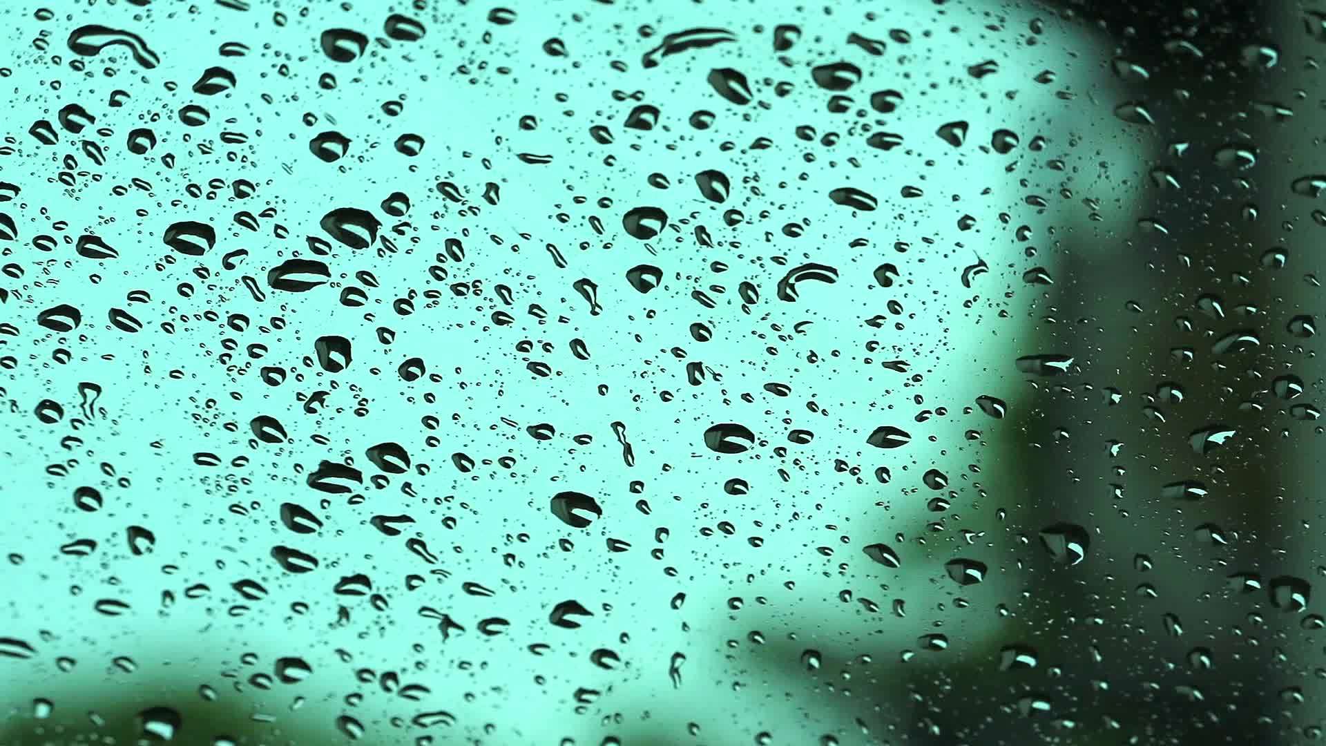 汽车和司机在花园里的镜子里下雨视频的预览图