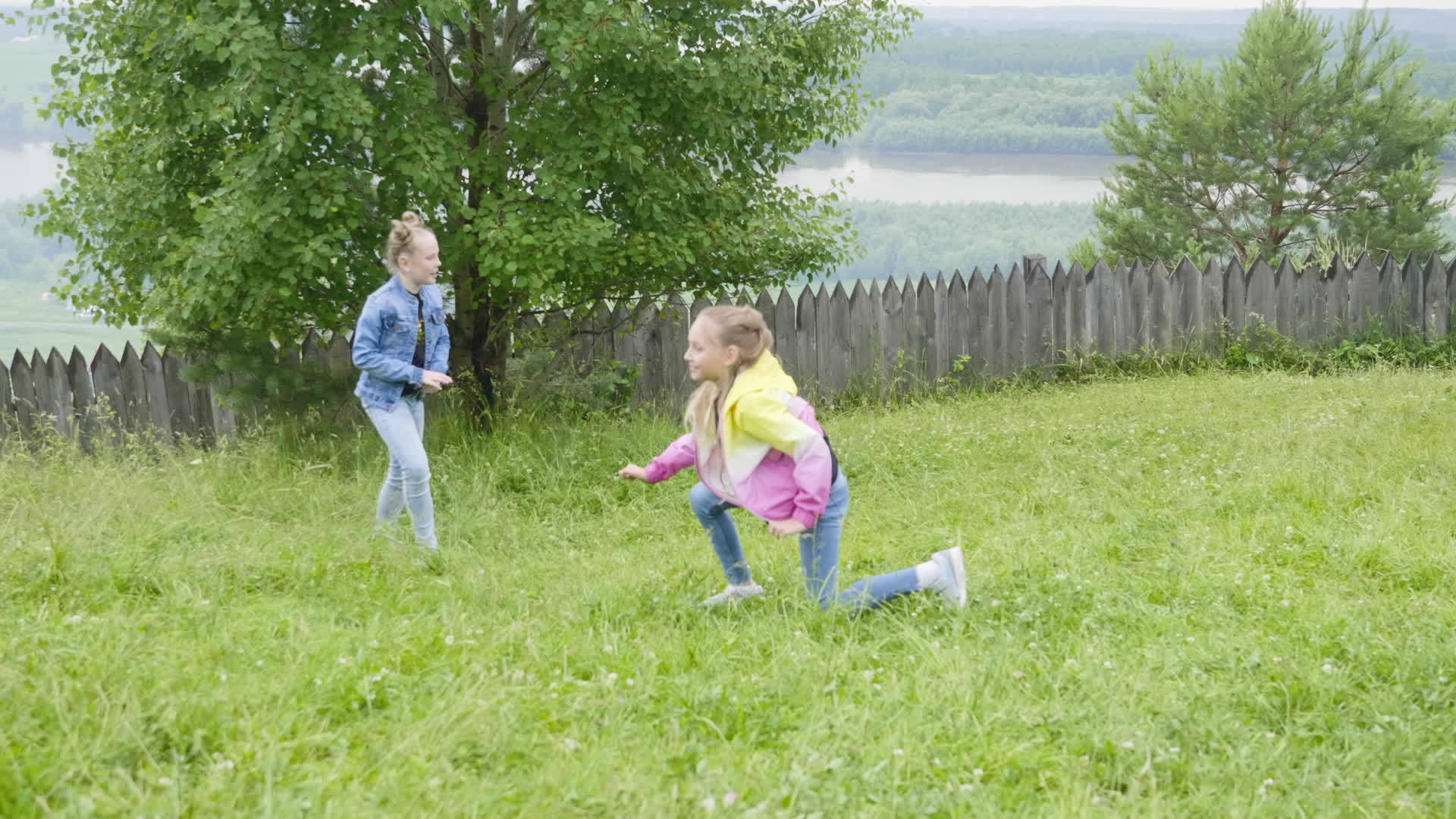 女孩在草坪上做杂技手推车在自然中行走视频的预览图