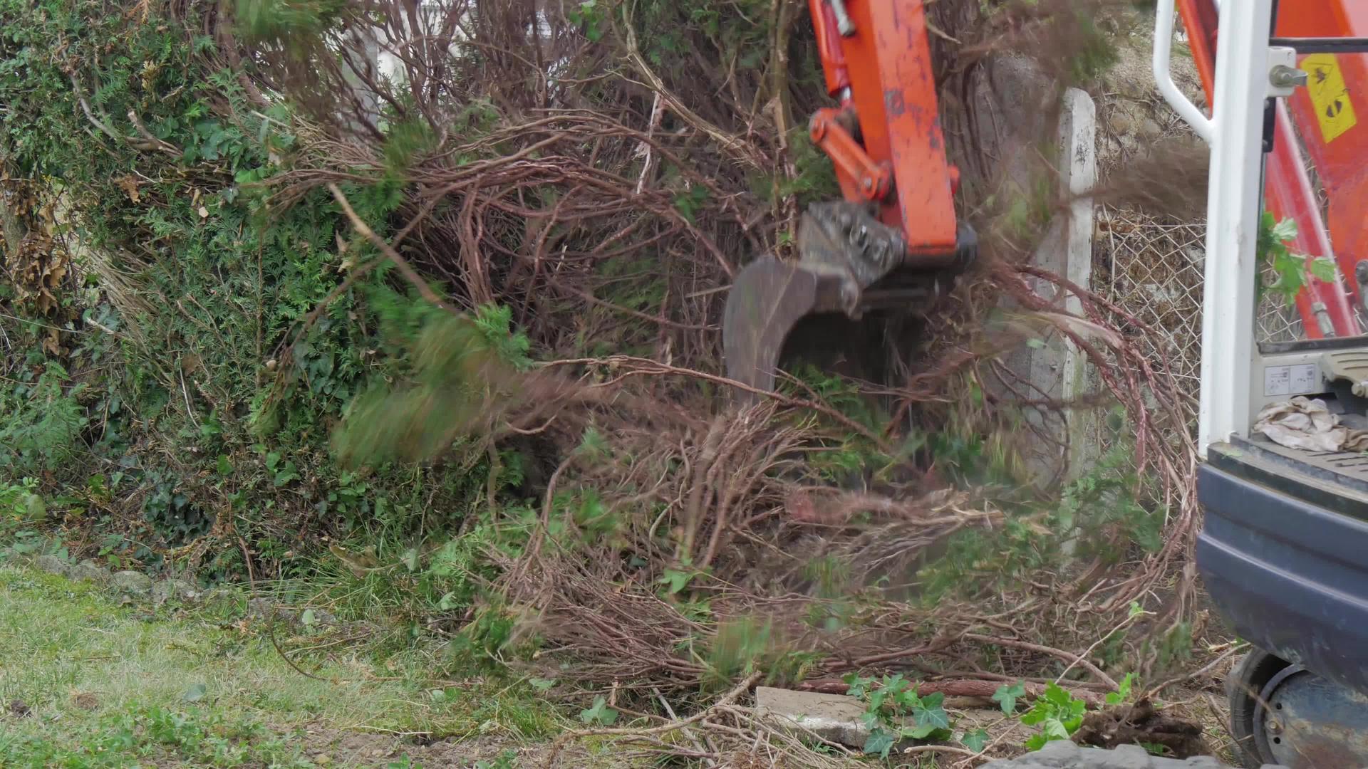 小型挖掘机拖小树视频的预览图