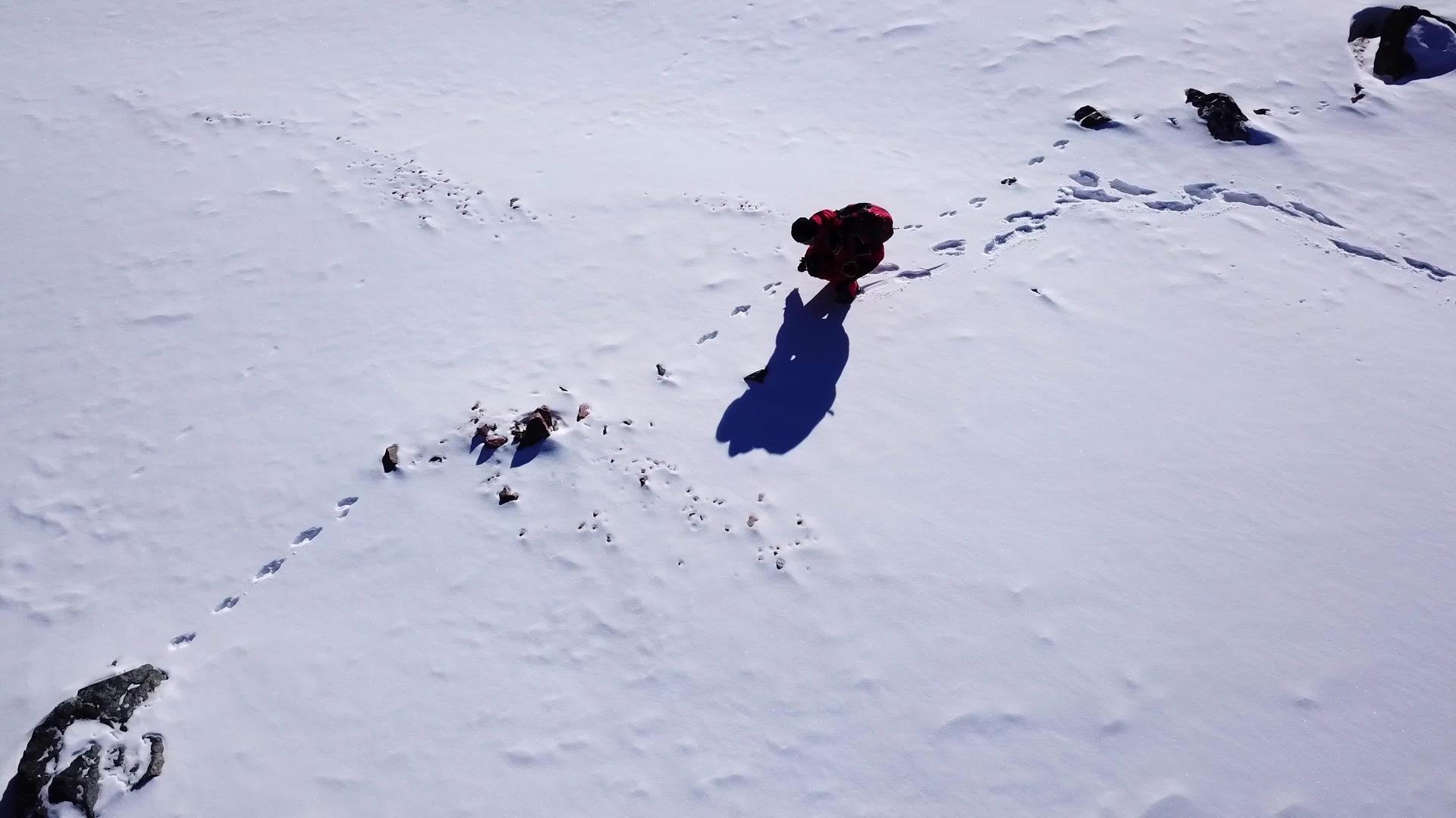 兔子在雪地上的足迹视频的预览图