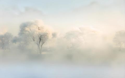 早晨松花江上的雾凇视频的预览图