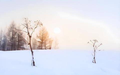 冬日温暖阳光的简约背景视频的预览图