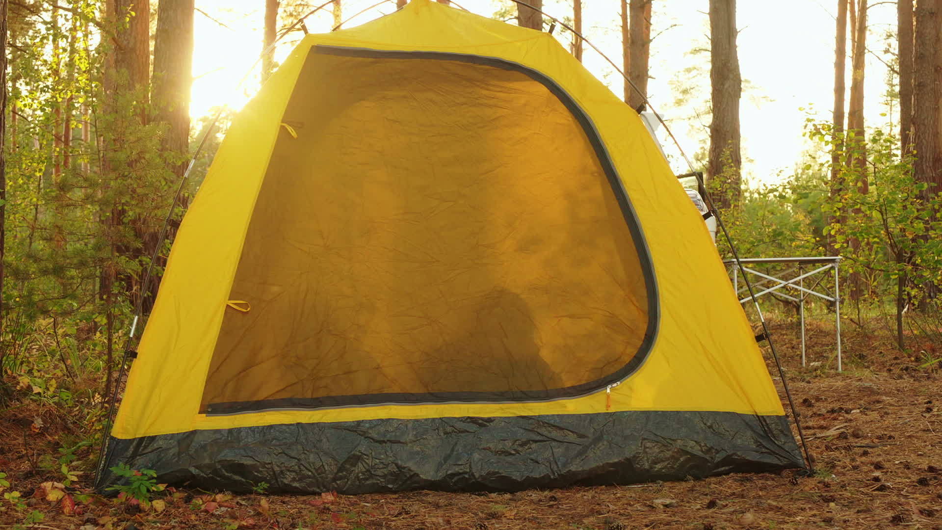 早上在阳光明媚的森林里旅游帐篷里的游客剪影早上露营视频的预览图