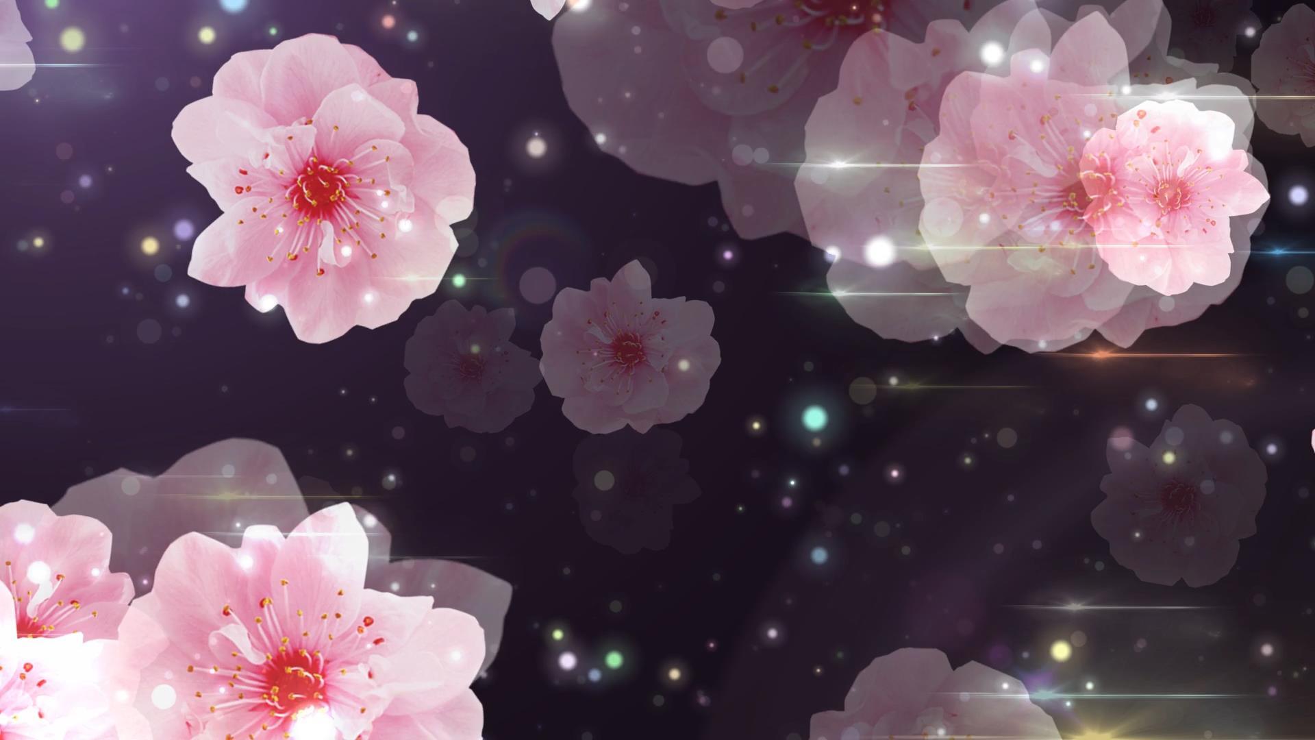 动态光效粒子花朵舞台背景视频元素视频的预览图