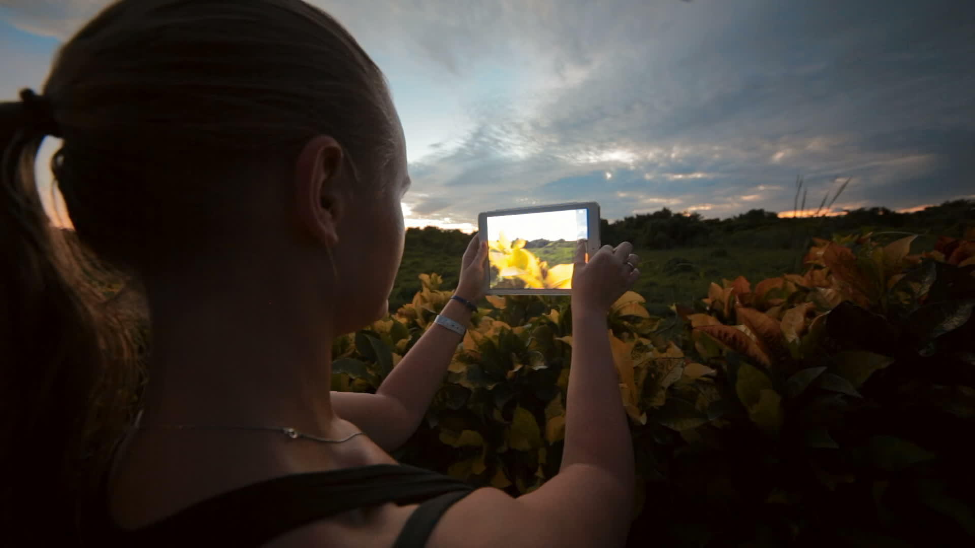 女性使用平板电脑Pc拍摄自然场景照片视频的预览图