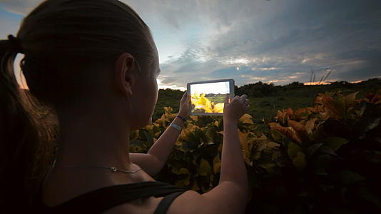 女性使用平板电脑Pc拍摄自然场景照片视频的预览图