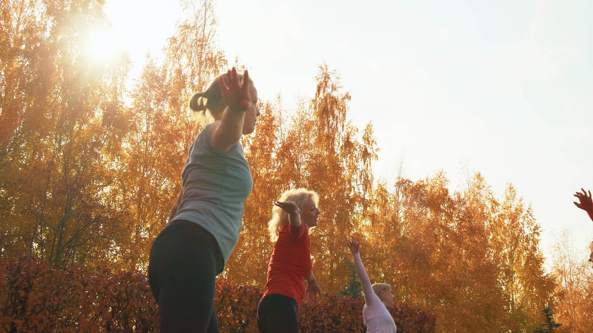 在秋季公园的户外课上体育女子训练舞蹈女子舞蹈团在城市公园的户外课上视频的预览图