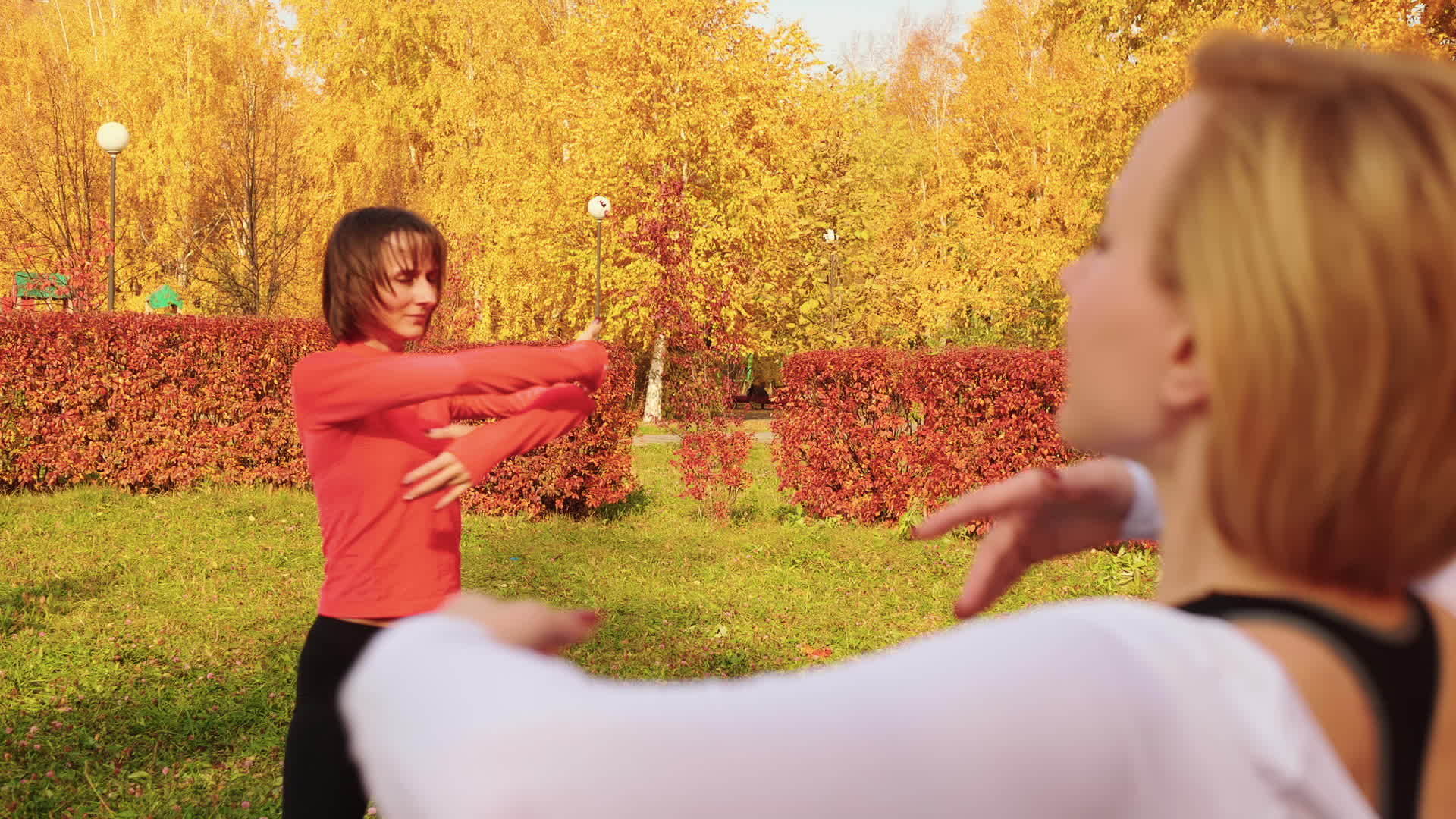 运动女性训练普拉提在秋季公园锻炼女性在户外上课视频的预览图