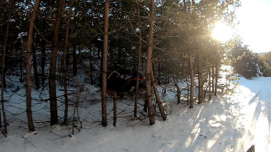 运动员在雪地摩托车上的寒假自然休闲理念视频的预览图