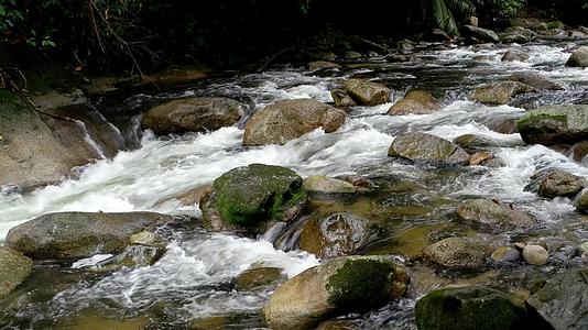 雨林雨林的河流非常凉爽和美丽视频的预览图