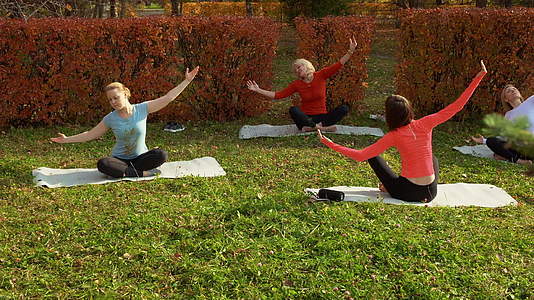 运动女性坐在床垫上在公园里做瑜伽视频的预览图