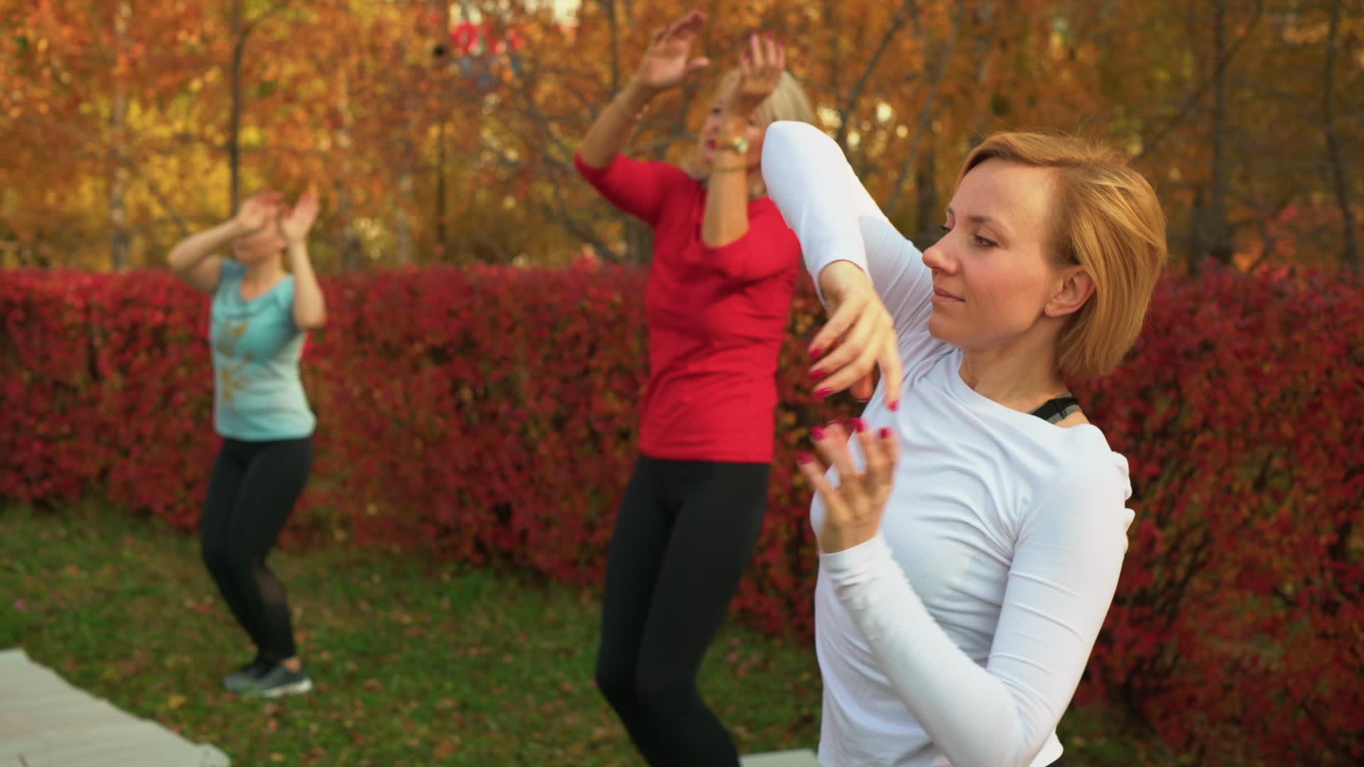 公园内的妇女培训、舞蹈培训和舞蹈活动视频的预览图