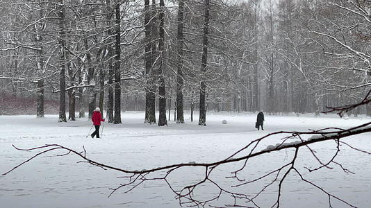 公园里下雪了 老人拿着棍子路 冬天 人们从树干走到透视视频的预览图