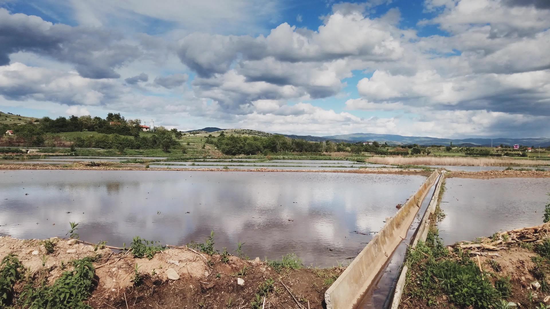 稻田和灌溉渠的驱动力在阳光明媚的日子视频的预览图