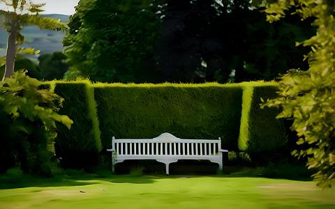 英格兰霍华德庄园环境优雅花园休闲视频的预览图