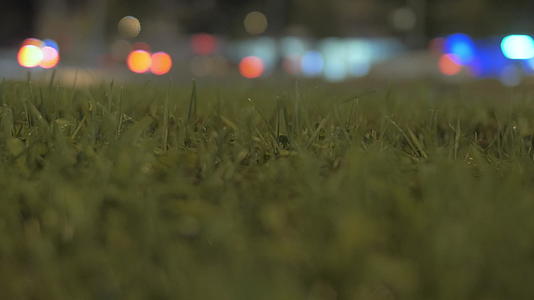 绿草草原和夜间有车的道路视频的预览图