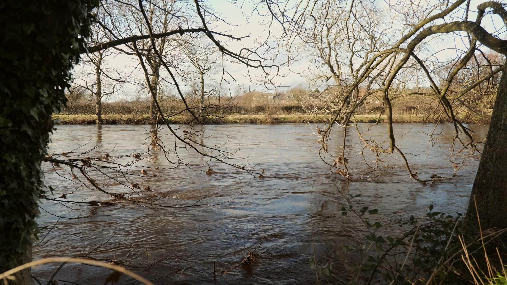 日耳曼郡淹没了乌克河视频的预览图